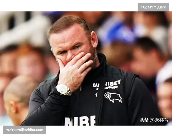 英超裁判长韦伯强调需更清晰规则而非复杂技术